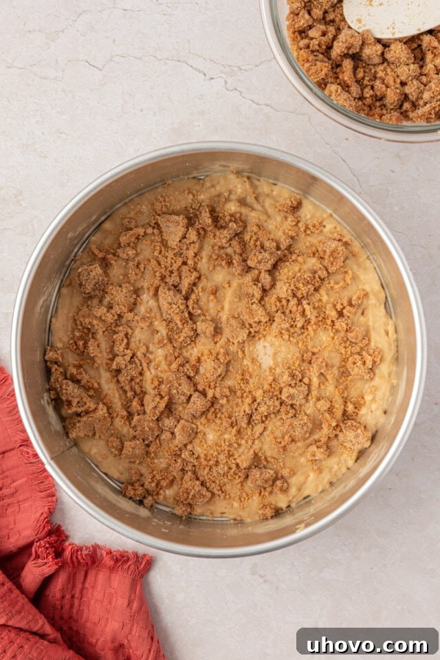 cinnamon streusel mixture scattered over muffin batter in a springform pan