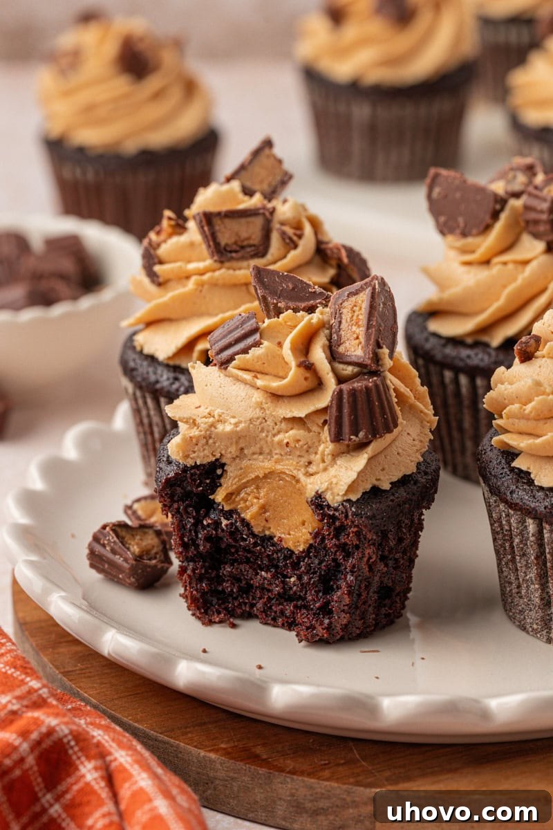 Decadent Chocolate Peanut Butter Cupcakes 2 cut-open chocolate cupcake showing peanut butter filling