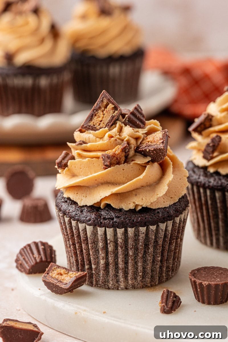 Decadent Chocolate Peanut Butter Cupcakes 10 close-up of chocolate cupcake with fluffy peanut butter frosting