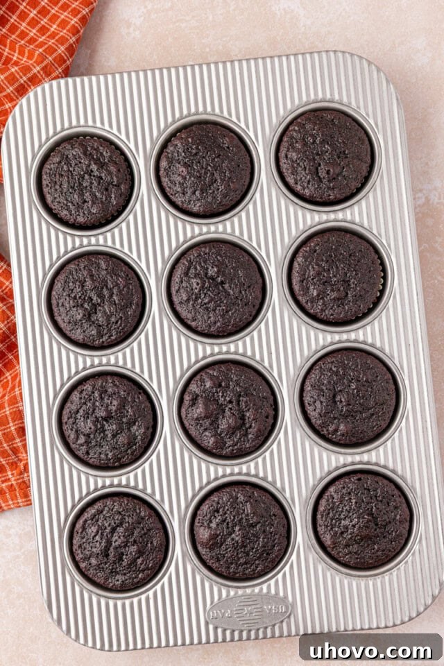 Decadent Chocolate Peanut Butter Cupcakes 5 freshly baked chocolate cupcakes in a muffin pan