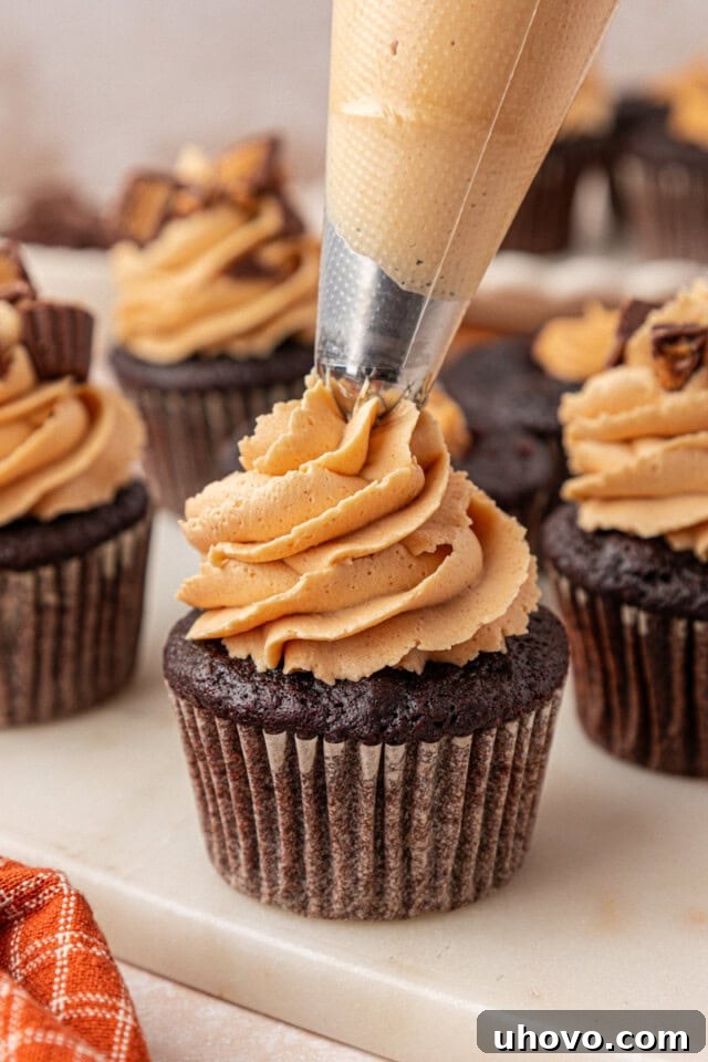 Decadent Chocolate Peanut Butter Cupcakes 9 peanut butter frosting being piped onto chocolate cupcakes