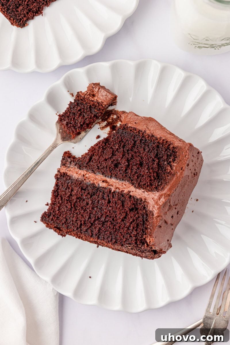 Decadent Devil’s Food Cake Recipe
