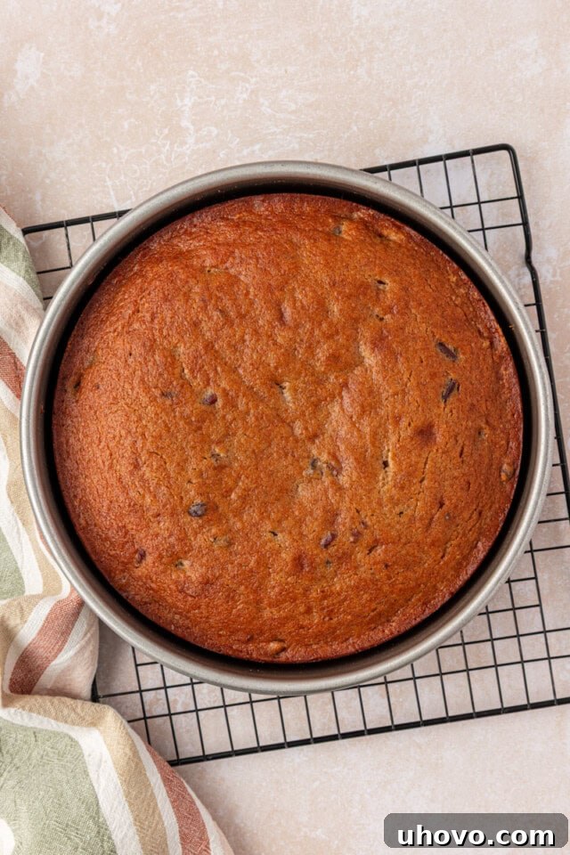 freshly baked maple cake in a round cake pan cooling on a wire rack