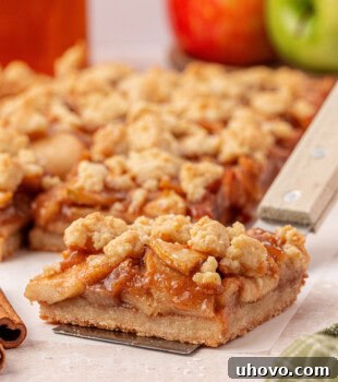 Classic Apple Pie Bars with Cinnamon Streusel 14 an apple pie bar with thick buttery crust and crumb topping