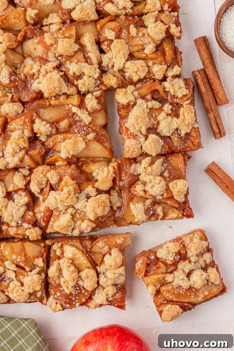 Classic Apple Pie Bars with Cinnamon Streusel 7 overhead view of sliced apple pie bars with buttery crumb topping