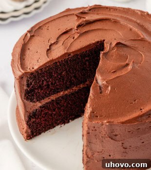 partially sliced two-layer devil's food cake with chocolate buttercream frosting