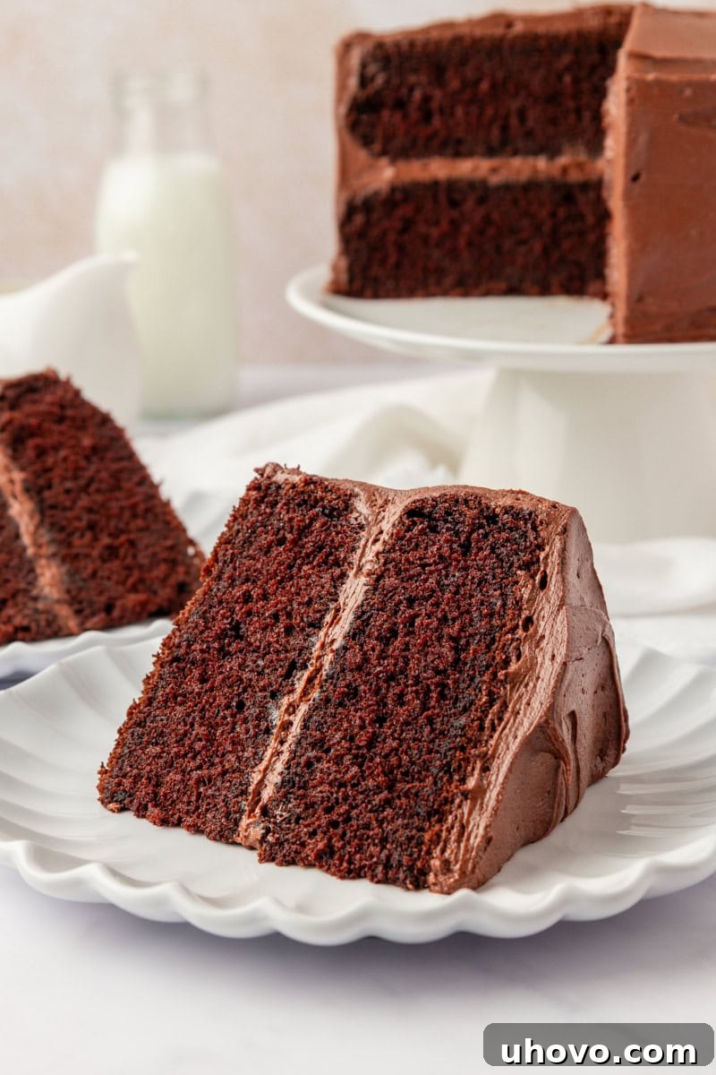 a slice of devil's food cake served on a white plate