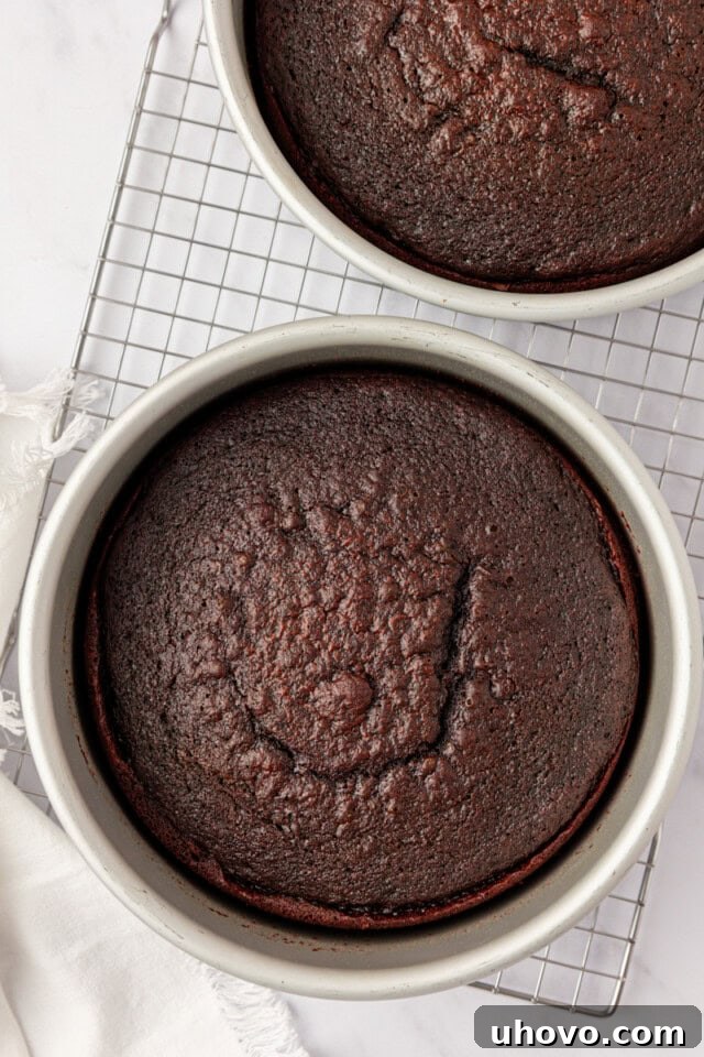 freshly baked chocolate cake layers in round cake pans on a wire rack