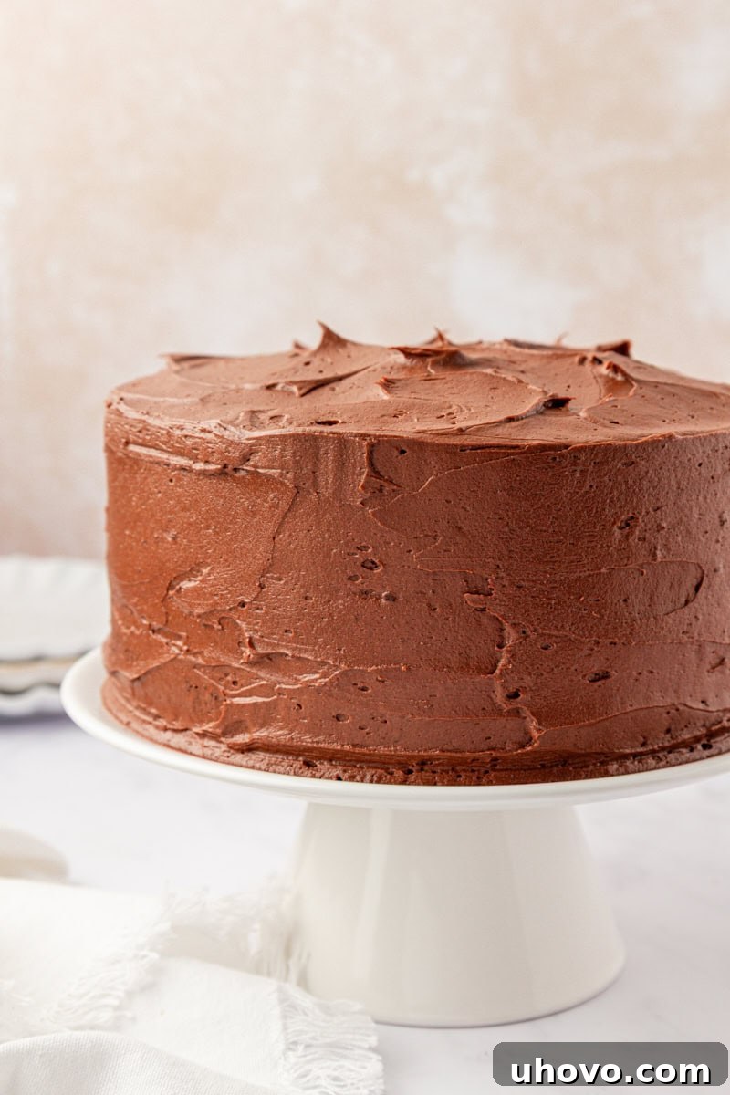devil's food cake with chocolate buttercream on a white cake stand